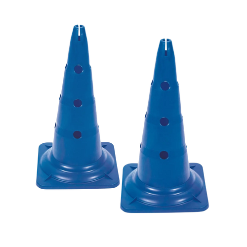Agility Pylone