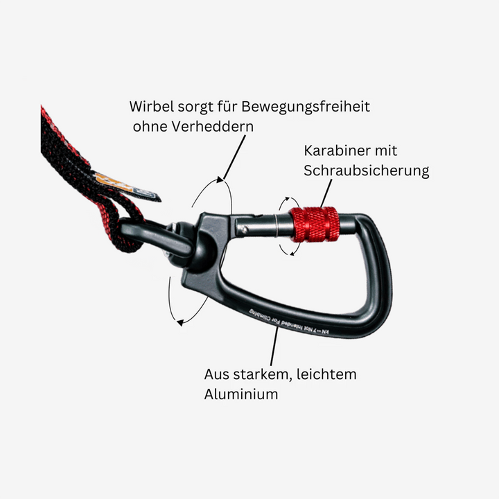 Autosicherheitsgurt Schlaufe - Bild 3 (Martin Rütter Shop)