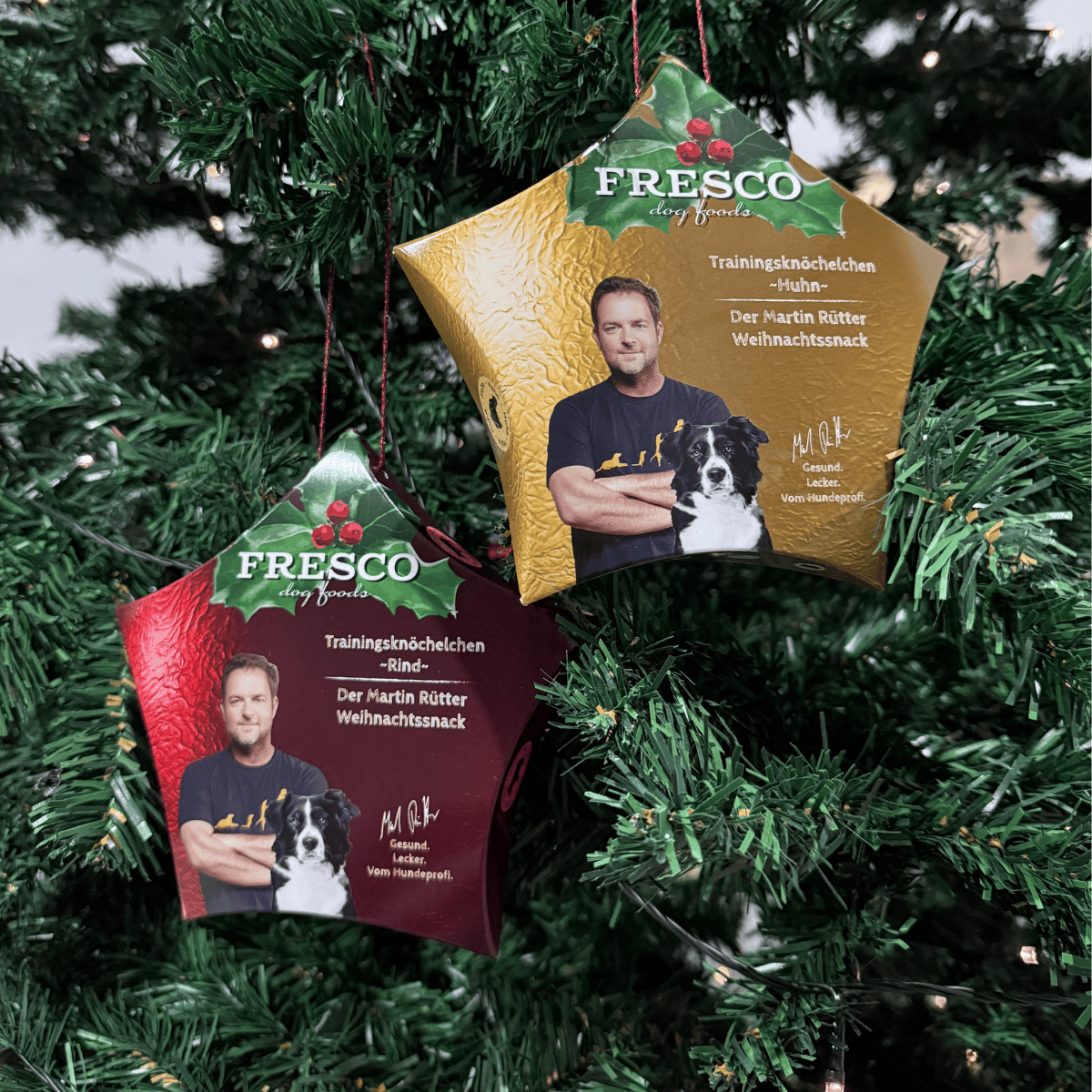 Weihnachtsstern mit Trainingsknöchelchen