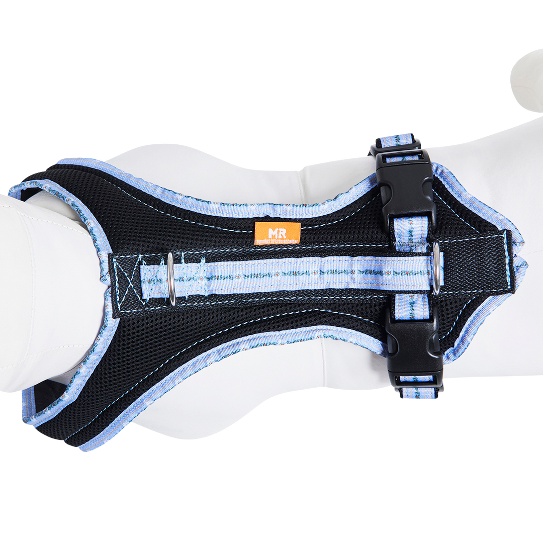 Hundegeschirr Standard Limited Edition