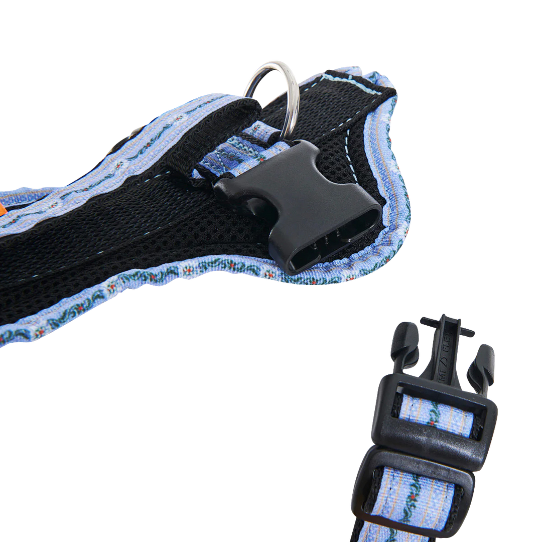 Hundegeschirr Standard Limited Edition