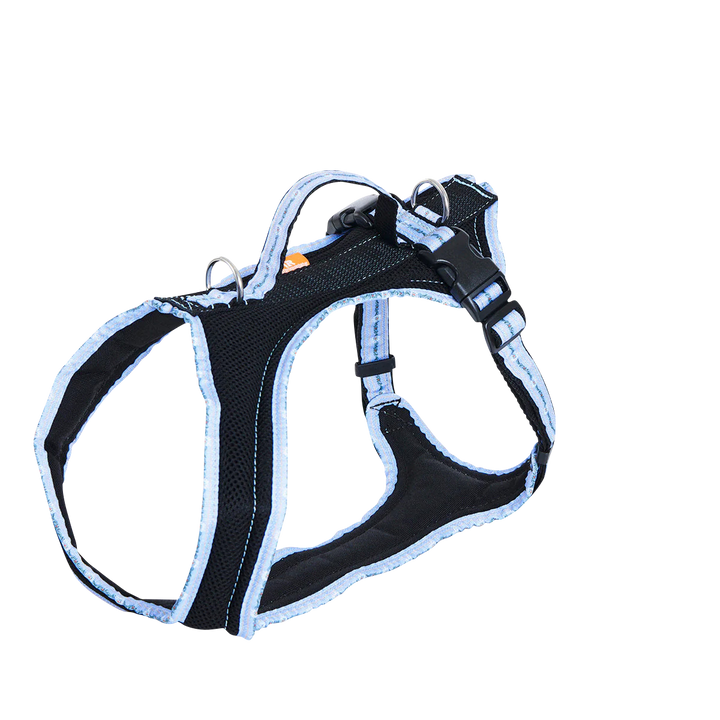 Hundegeschirr Standard Limited Edition