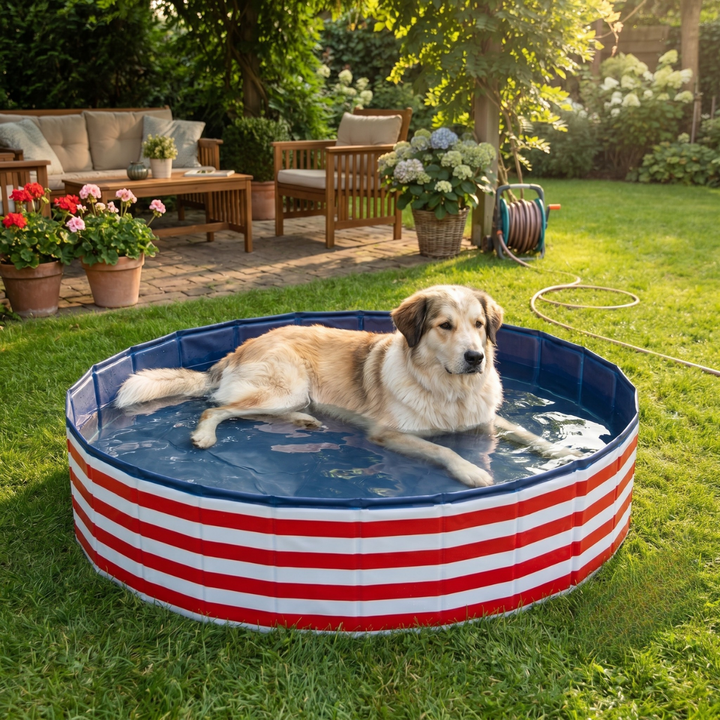 Faltbarer Hundepool