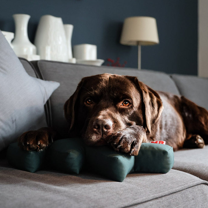 Weihnachtsbundle "Oh Tannenbaum" – Tannenbaumkissen & Trainingsknöchelchen