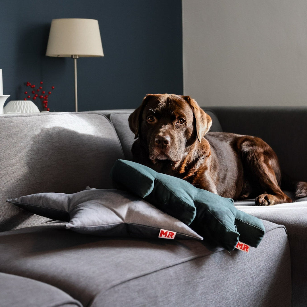 Weihnachtsbundle "Weihnachtszauber" – Sternkissen & Tannenbaumkissen