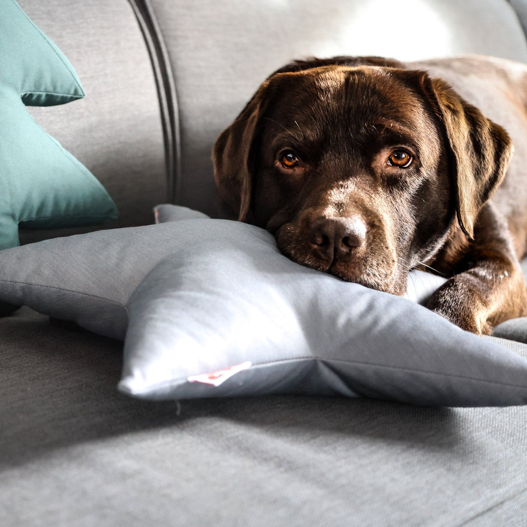 Weihnachtsbundle "Sternenzauber" – Sternkissen & Trainingsknöchelchen