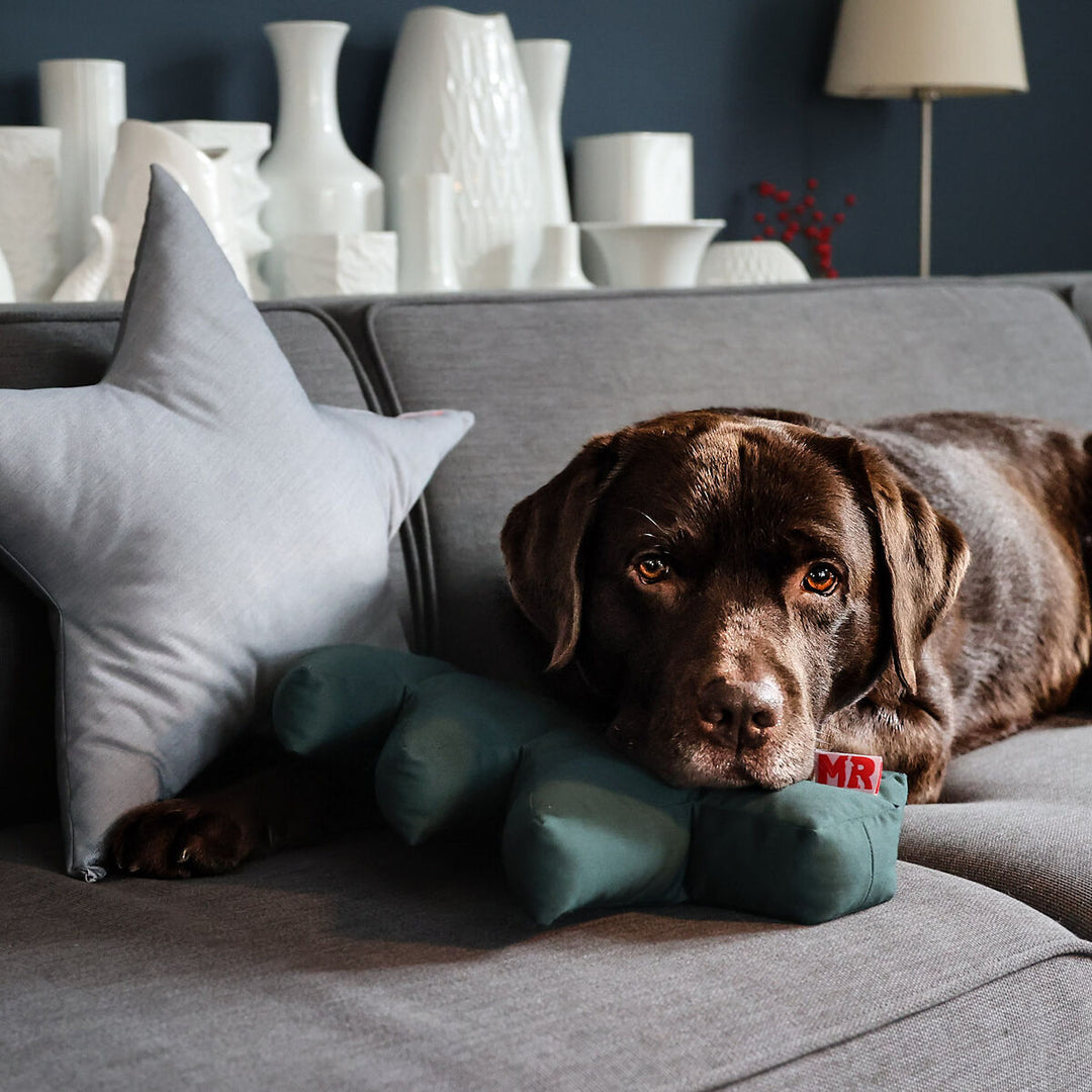 Hundespielzeug Tannenbaum