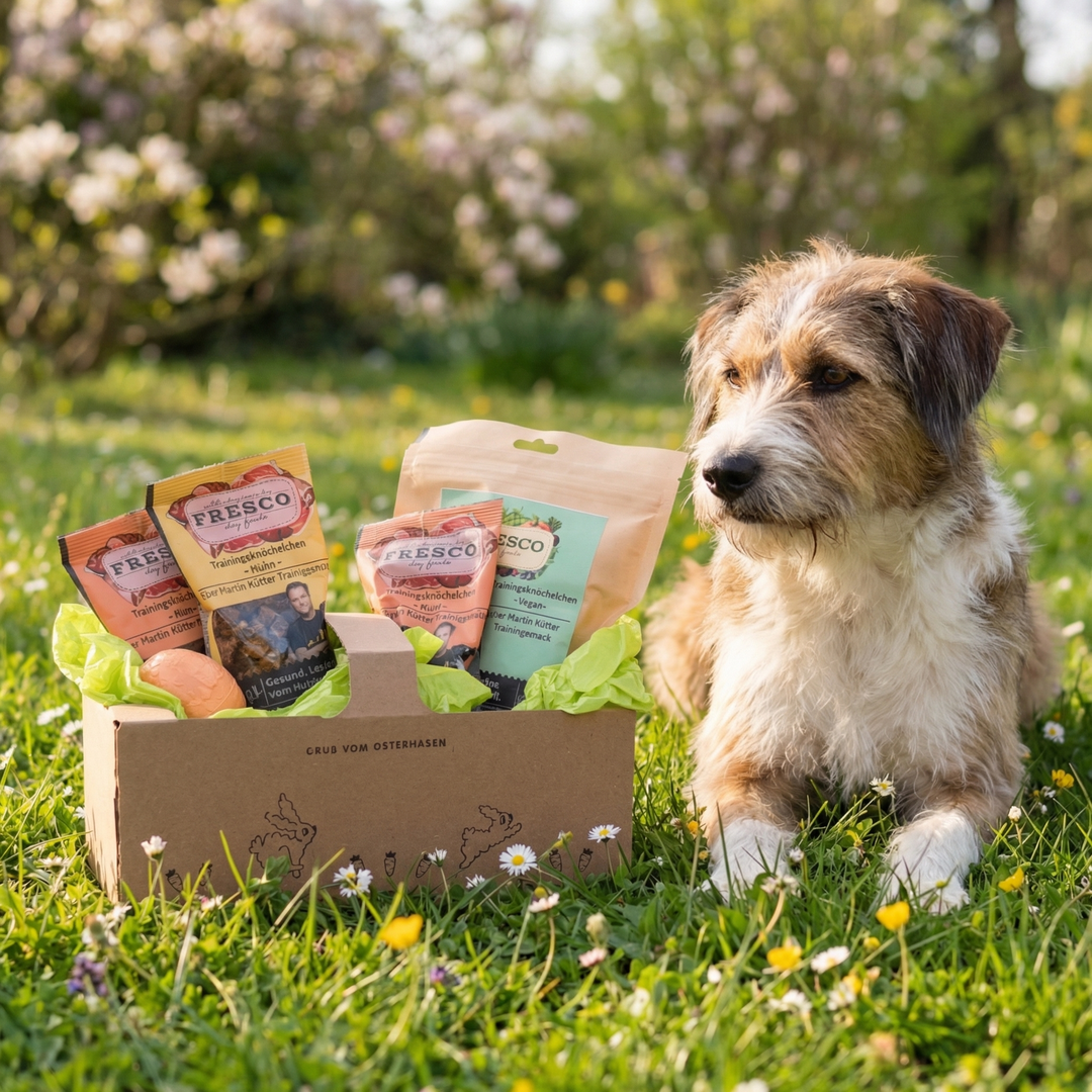 Osterkörbchen Fun & Snack - Vegan