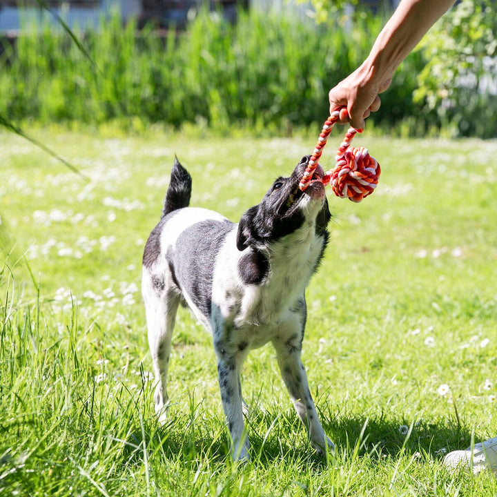 Schleuderball mit Wurfschnur