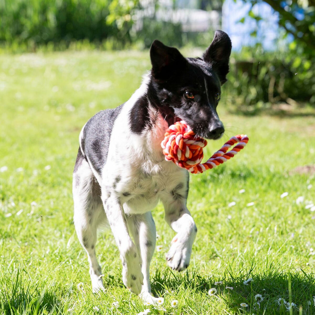 Schleuderball mit Wurfschnur