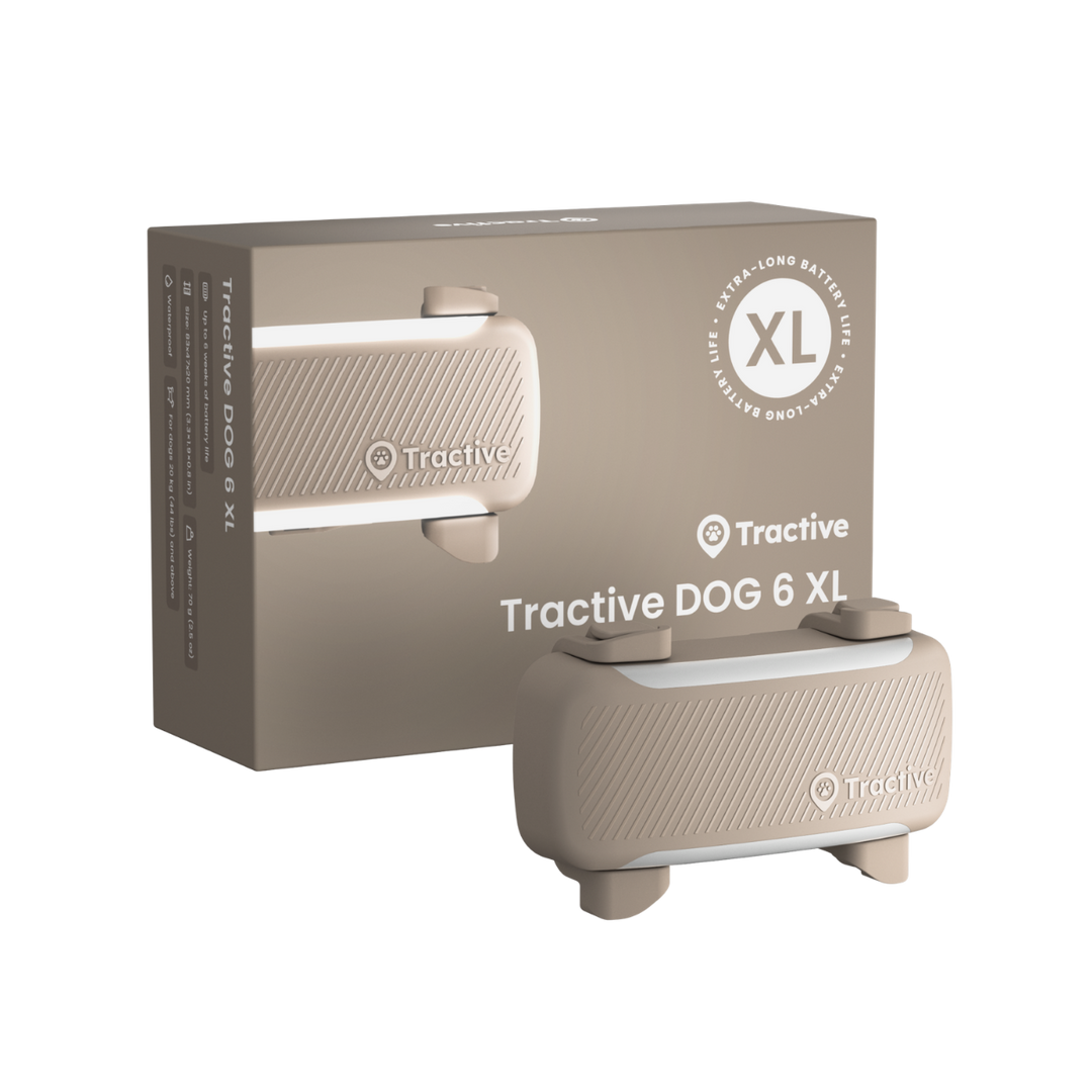 GPS Tracker Tractive Dog 6 XL