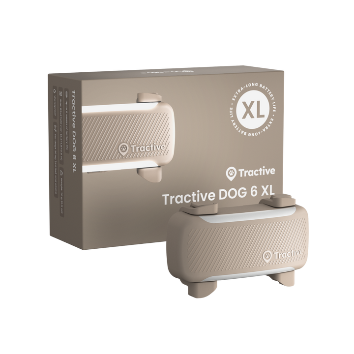 GPS Tracker Tractive Dog 6 XL