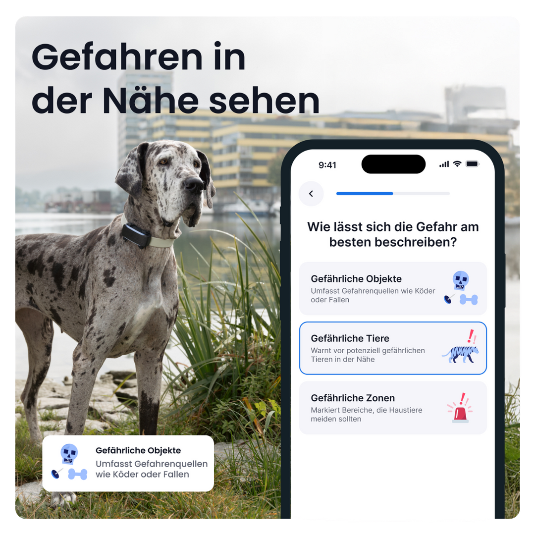 GPS Tracker Tractive Dog 6 XL