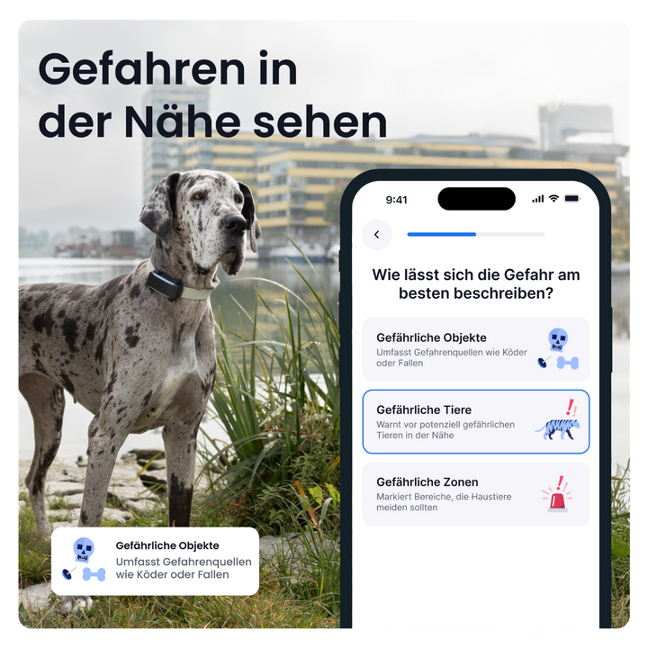 GPS Tracker Tractive Dog 6 XL