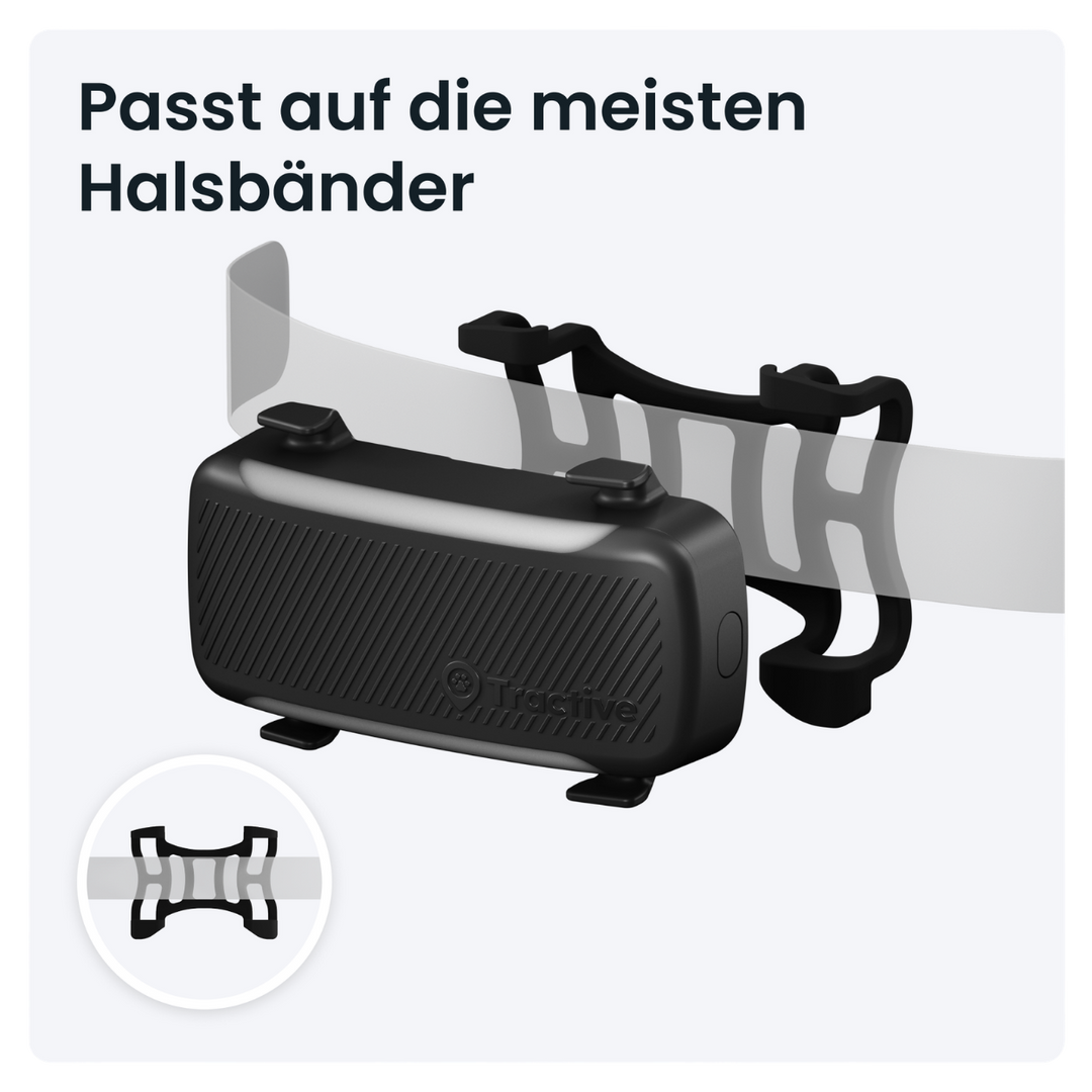 GPS Tracker Tractive Dog 6 XL