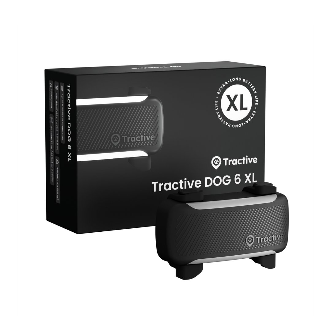 GPS Tracker Tractive Dog 6 XL