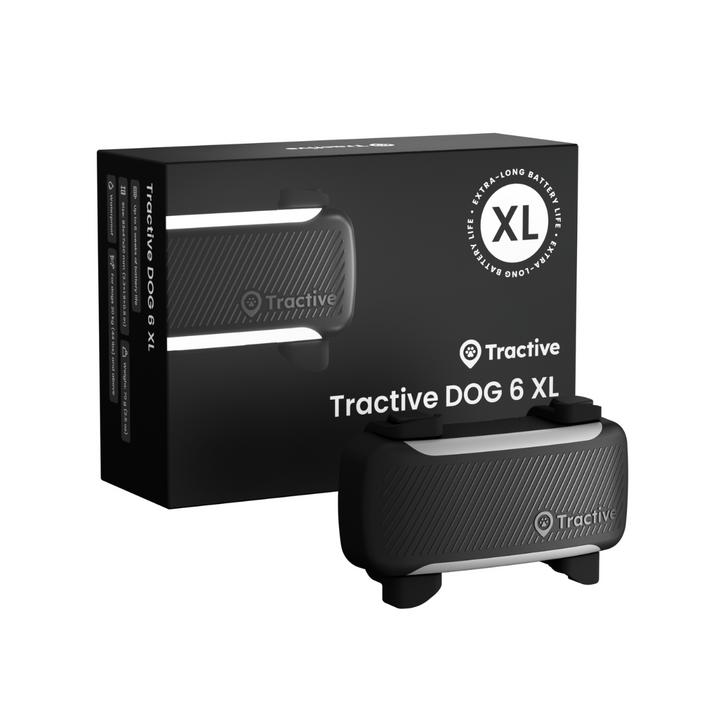 GPS Tracker Tractive Dog 6 XL