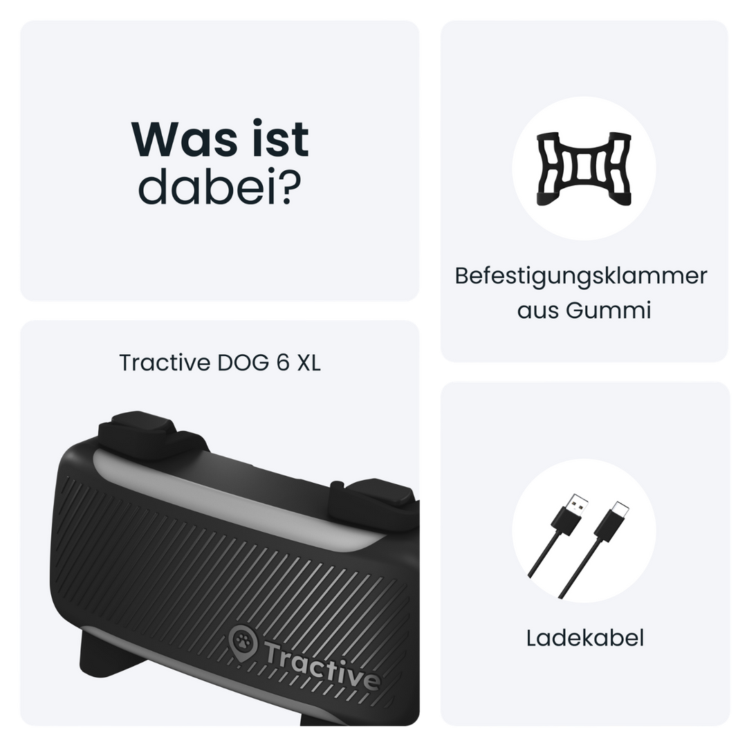 GPS Tracker Tractive Dog 6 XL