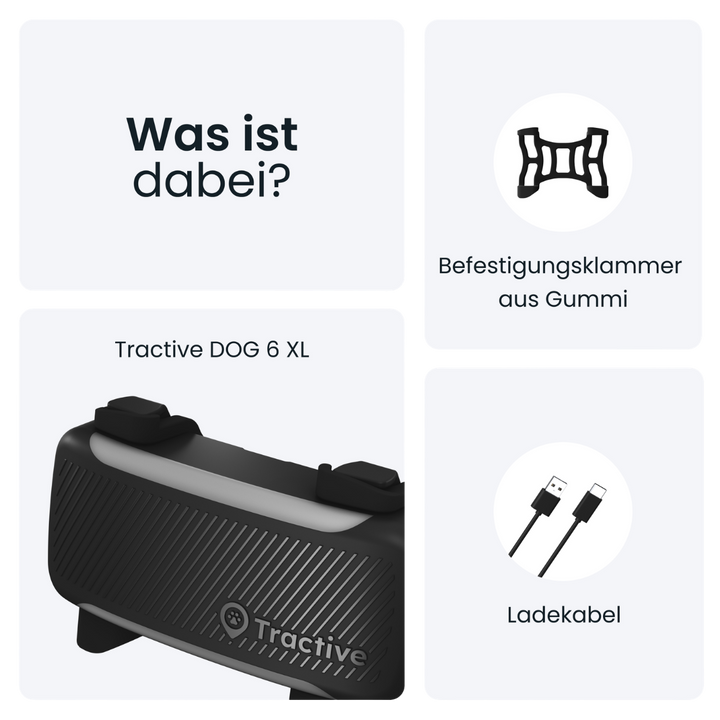 GPS Tracker Tractive Dog 6 XL