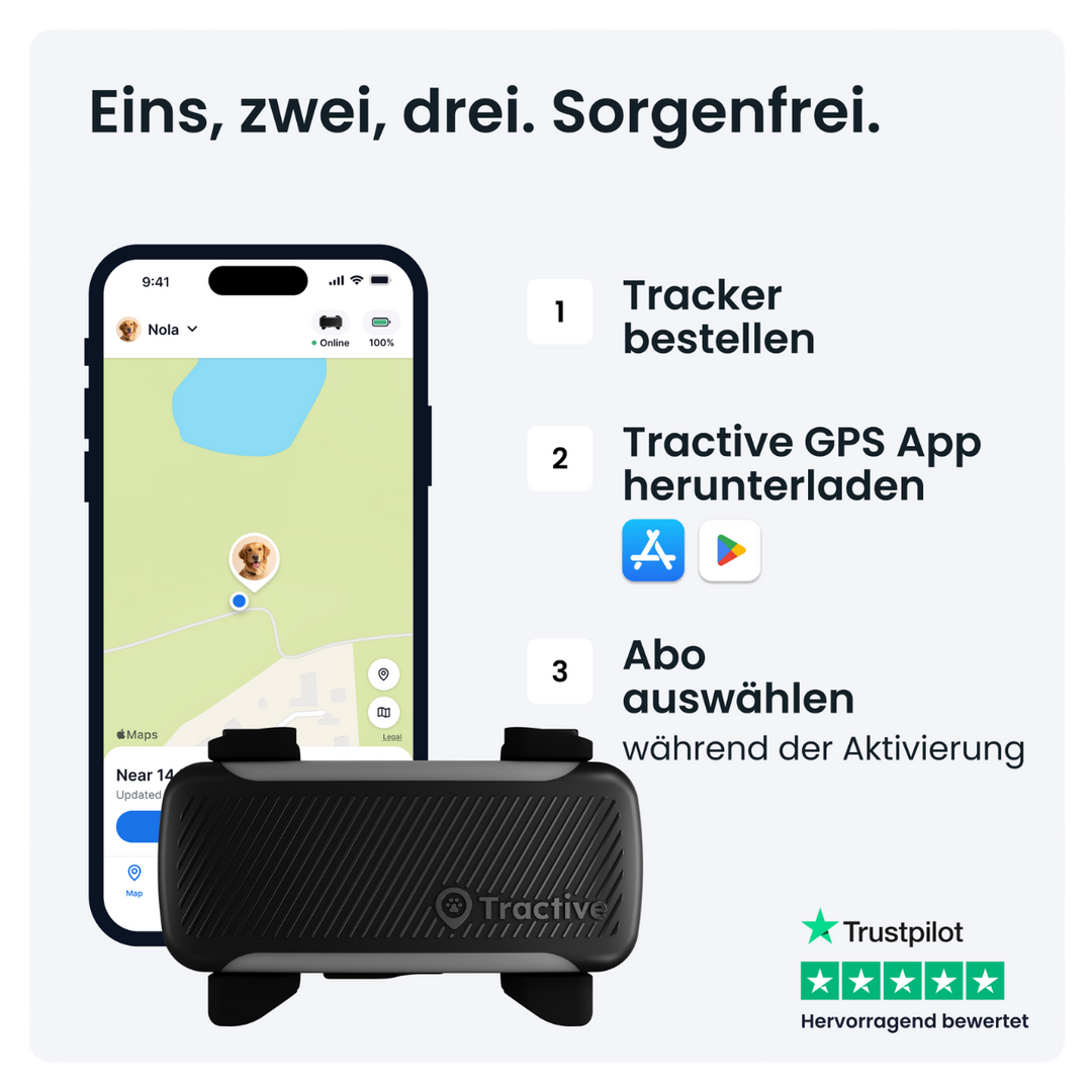 GPS Tracker Tractive Dog 6 XL