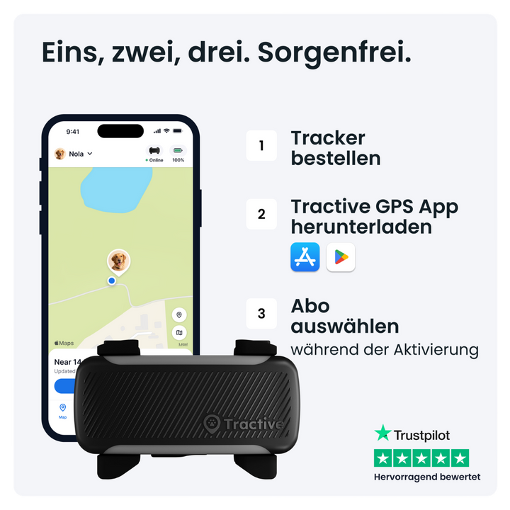 GPS Tracker Tractive Dog 6 XL