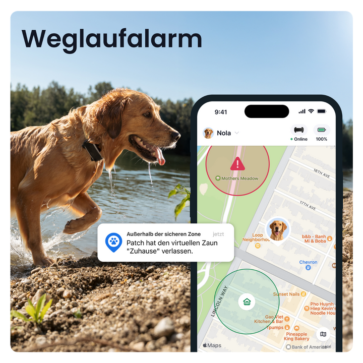 GPS Tracker Tractive Dog 6 XL