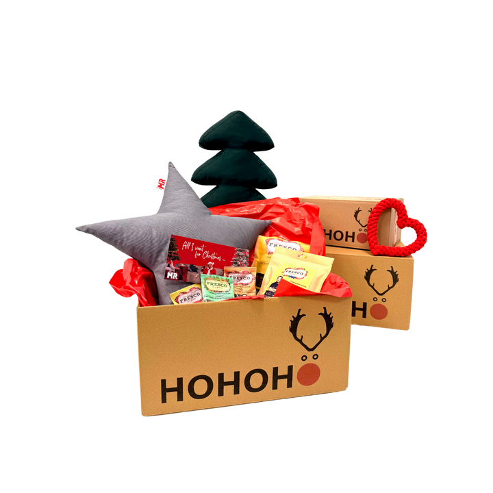 Große Weihnachtsbox Snack & Fun mit Sternkissen