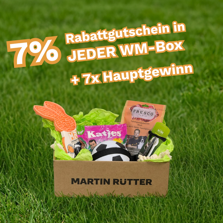 WM-Box Premium