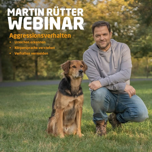 Webinar "Aggressionsverhalten" - Bild 1 (Martin Rütter Shop)