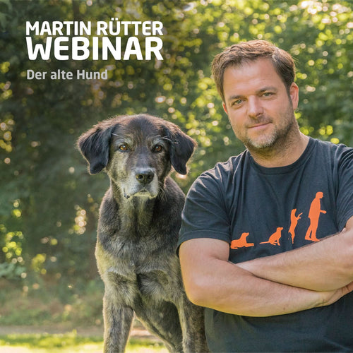 Webinar "Der alte Hund" - Bild 1 (Martin Rütter Shop)