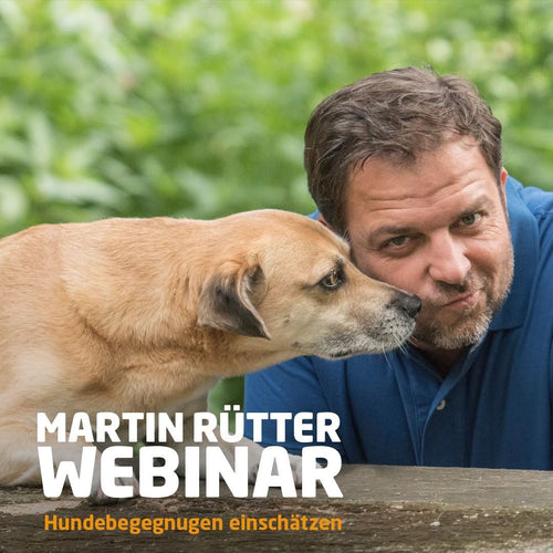 Webinar "Hundebegegnungen einschätzen" - Bild 1 (Martin Rütter Shop)