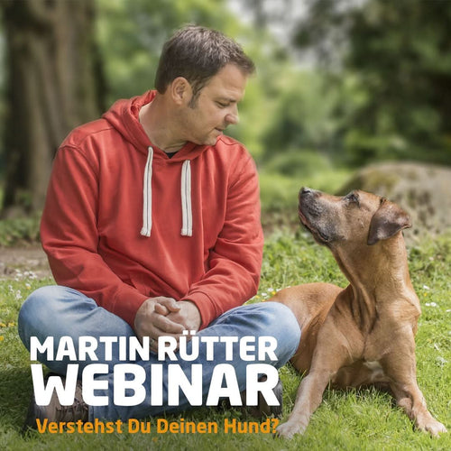 Webinar "Verstehst Du Deinen Hund?" - Bild 1 (Martin Rütter Shop)