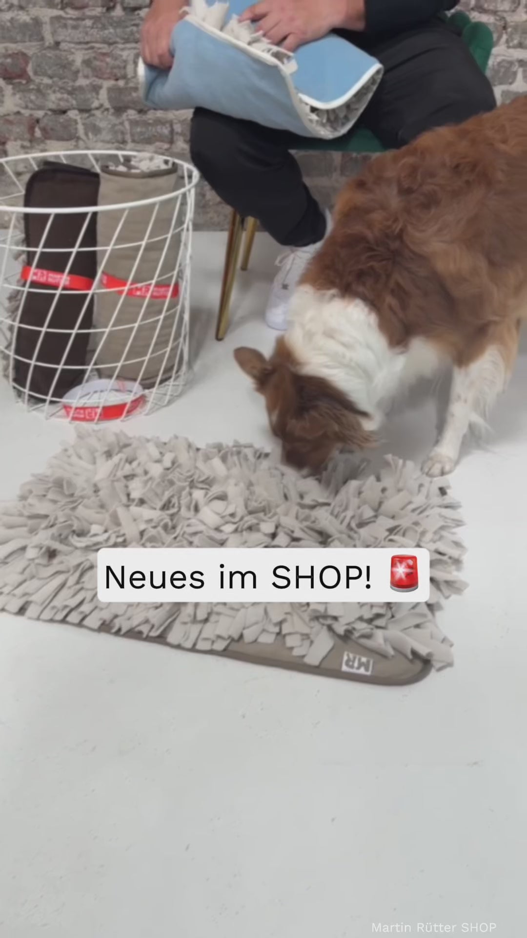 Martin Rütter Schnüffelteppich mit extra dichten Fransen für langen Schnüffelspaß und artgerechte Auslastung.