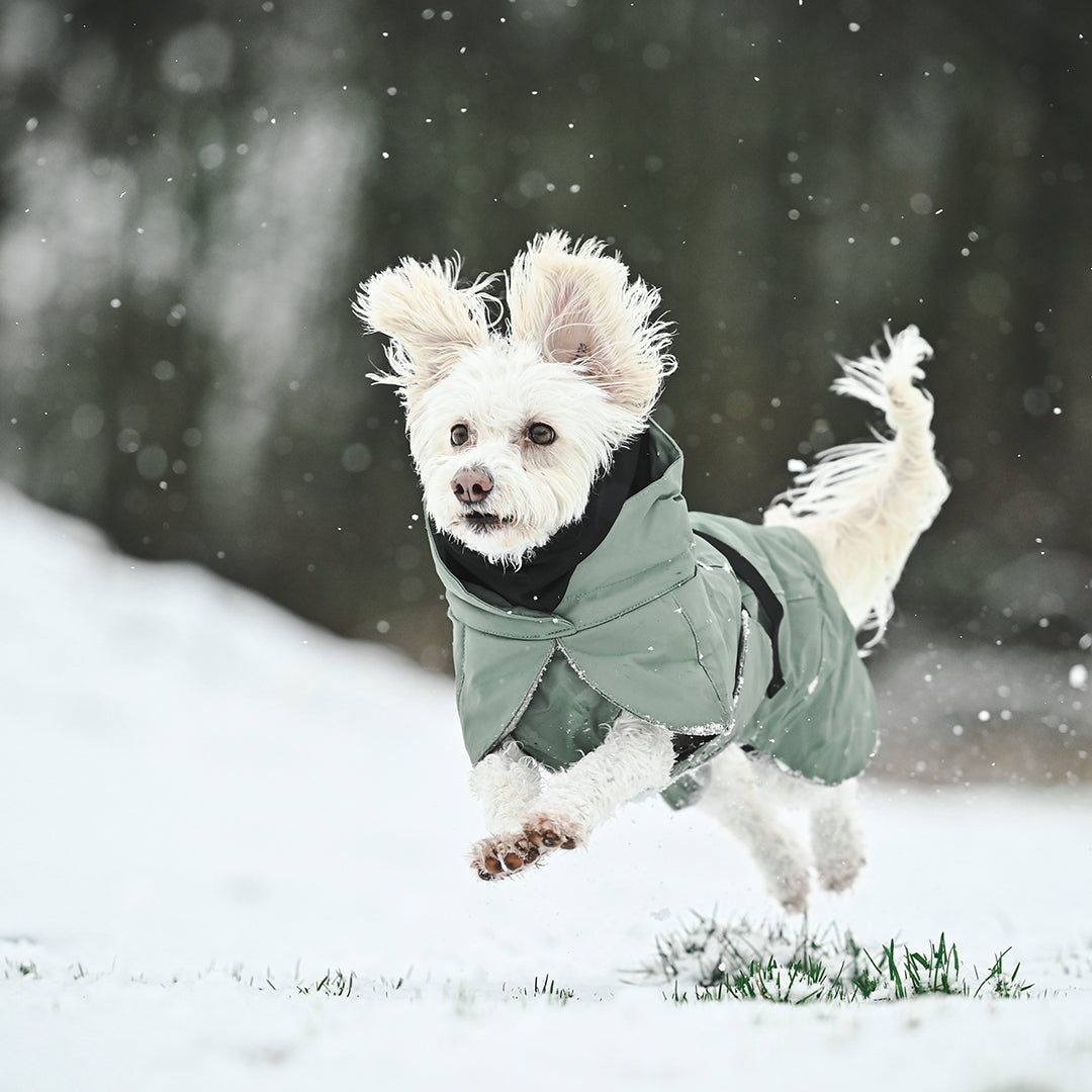 Wintermantel PAIKKA - vollreflektierender Hundewintermantel