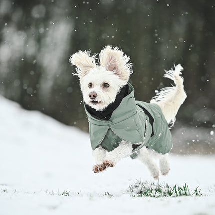 Wintermantel PAIKKA - vollreflektierender Hundewintermantel - Khaki