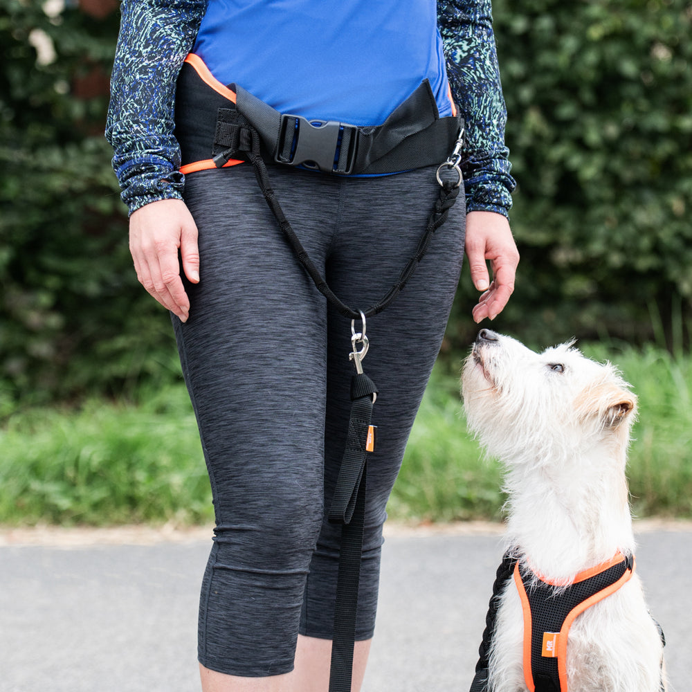 Jogginggurt PROFIRUN - verstellbarer Hüftgurt zum Joggen mit Hund
