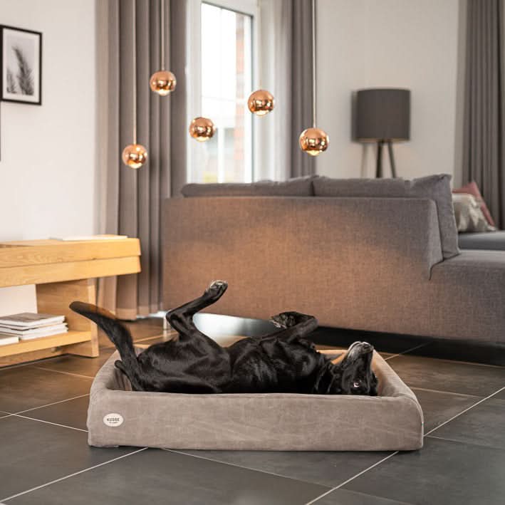 Schwarzer Hund liegt auf dem Rücken im Hundebett KUDDE mit einem Bezug in der Farbe Taube in Wildlederoptik 