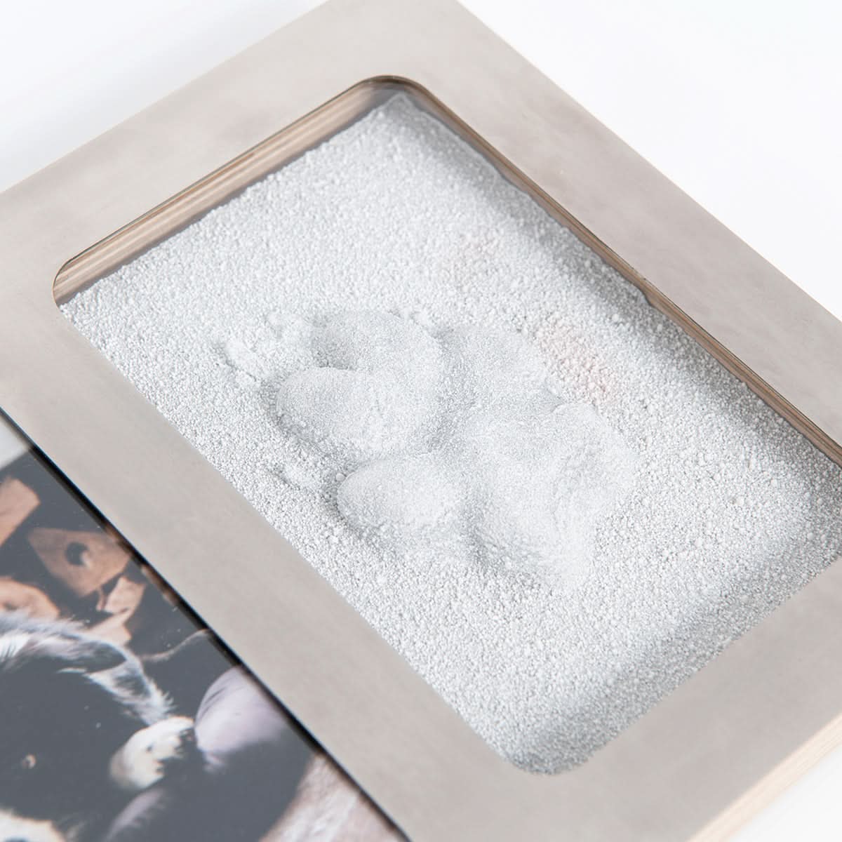 Pfotenabdruck im Gips des Edelstahl Rahmens