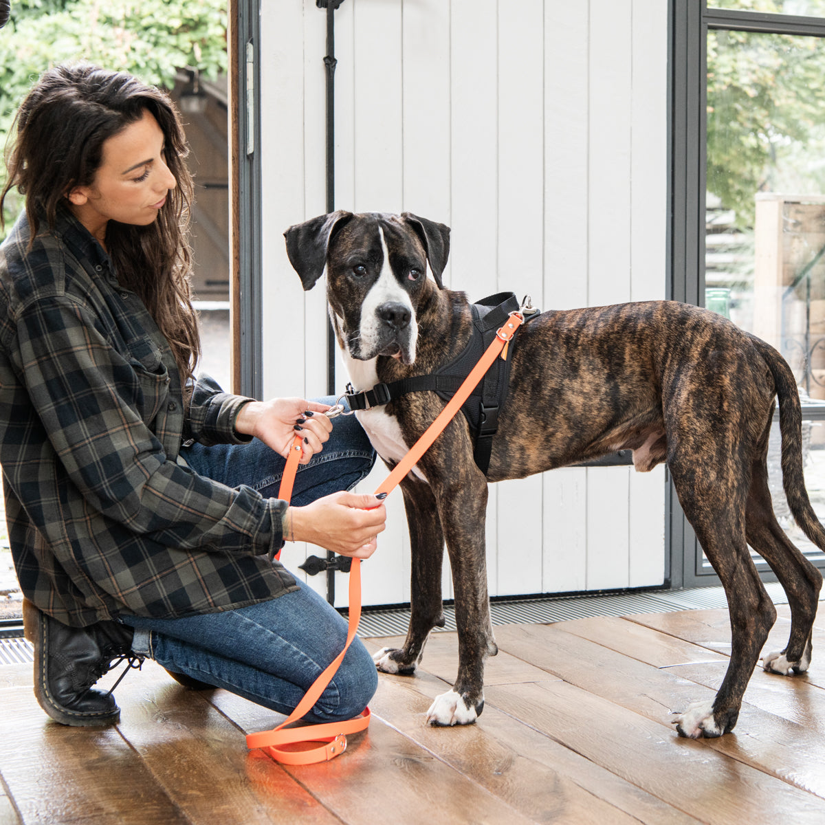 Frau hält Hund mit Biothane Führleine in Neon Orange am Ausbildungsgeschirr Guide in schwarz
