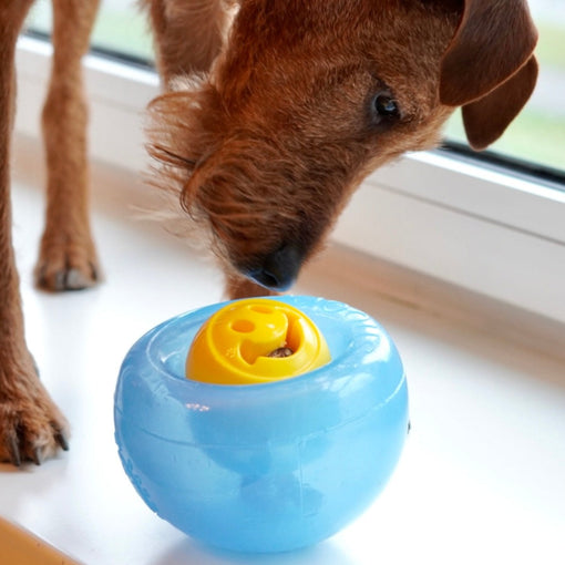Hund Zuhause beschäftigt mit dem Hundespielzeug Futterball SNOOP in Hellblau