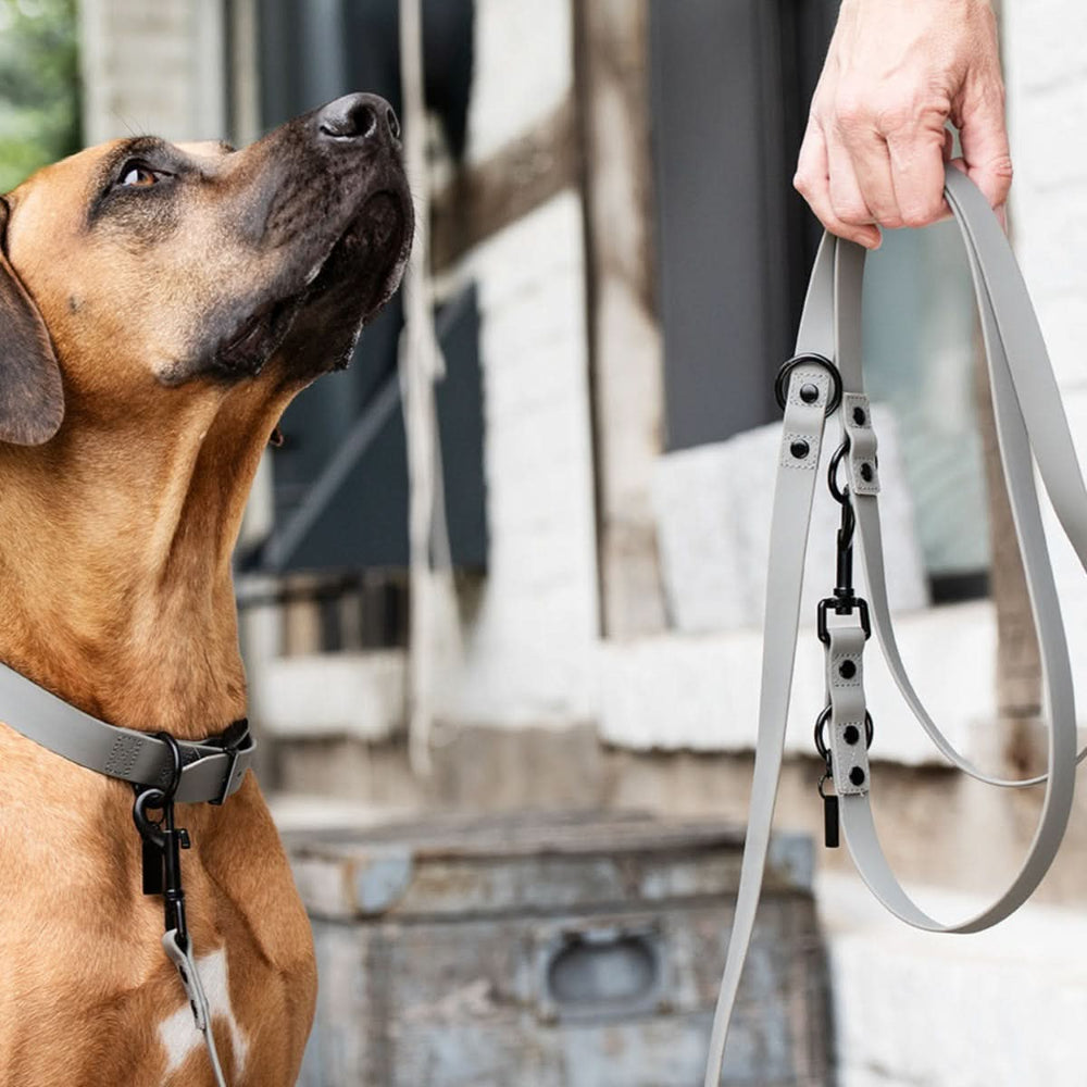LEINEN – Martin Rütter SHOP
